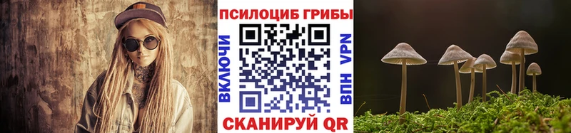 гидра зеркало  Узловая  Псилоцибиновые грибы прущие грибы  наркота 